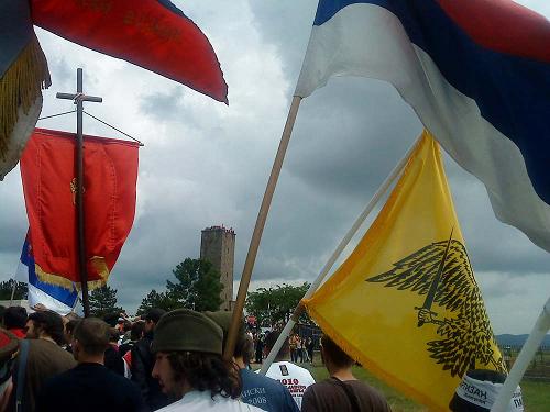 ����������� ���� 2010